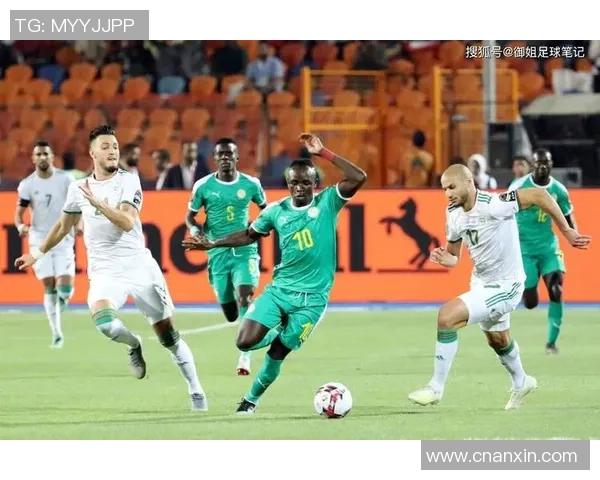 非洲杯精彩对决阿尔及利亚迎战科特迪瓦争夺晋级名额