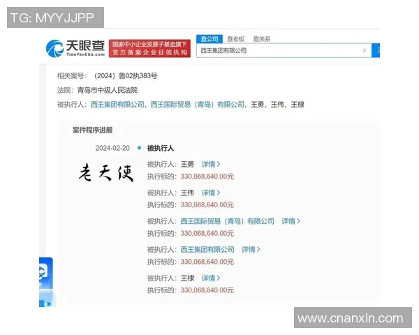 山东西王与西王集团的战略合作与发展前景分析 山东西王与西王集团的战略合作与发展前景分析