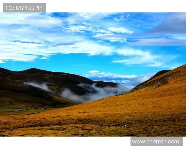 孔令微的成长之路与人生哲学探讨:从平凡到卓越的心灵旅程 孔令微的成长之路与人生哲学探讨:从平凡到卓越的心灵旅程