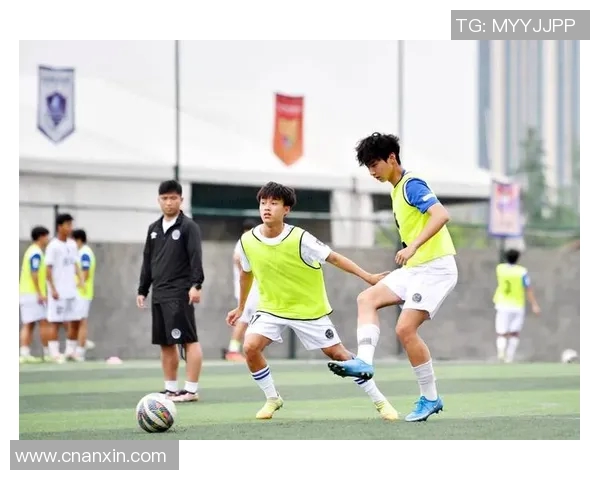 努涅斯在赛场上的崛起与挑战解析,展望未来的足球之路与发展潜力 努涅斯在赛场上的崛起与挑战解析,展望未来的足球之路与发展潜力